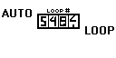 Autoloop